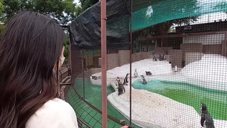 茄子视频.APP深夜释放自己下载IOS口爆胖妹妹